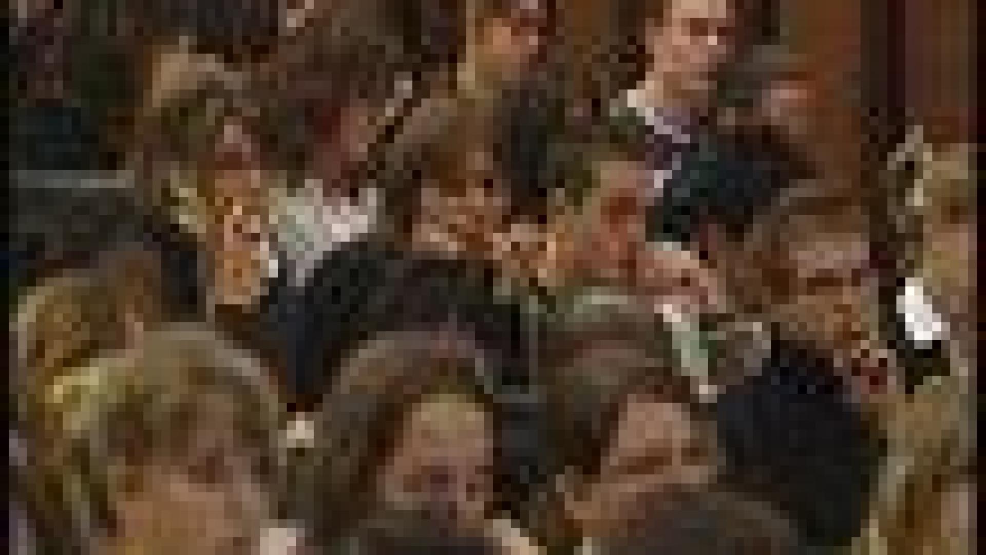 Etudiants en médecine contre le numerus clausus